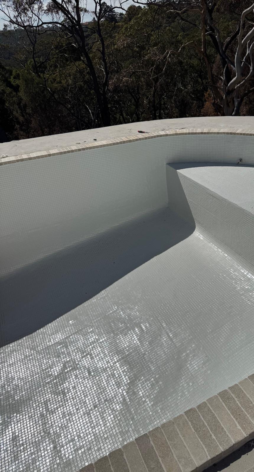 Curved tiled pool wall and coping on a bush block, gum trees behind